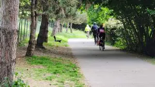 Antony à Vélo organise sa sortie d’automne