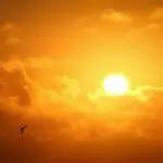 L&rsquo;Espace Vasarely, refuge canicule pour les plus fragiles