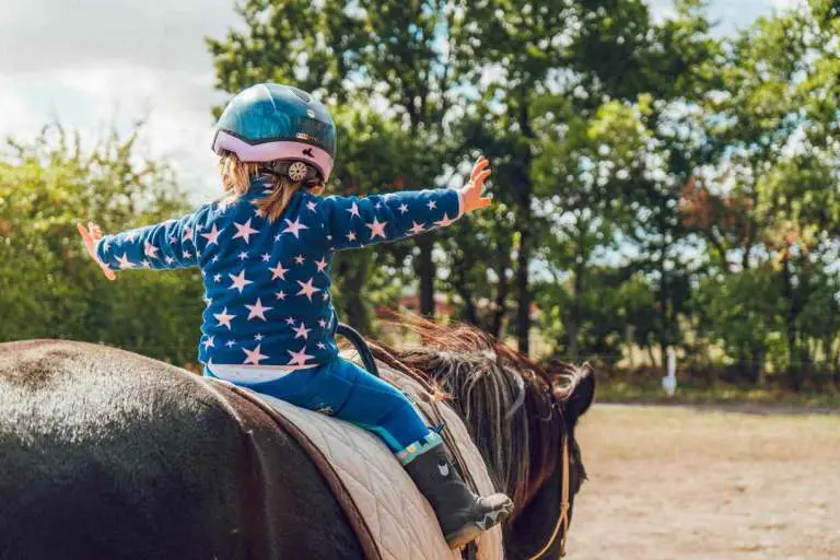 Quel avenir pour le Poney Club d&rsquo;Antony ?