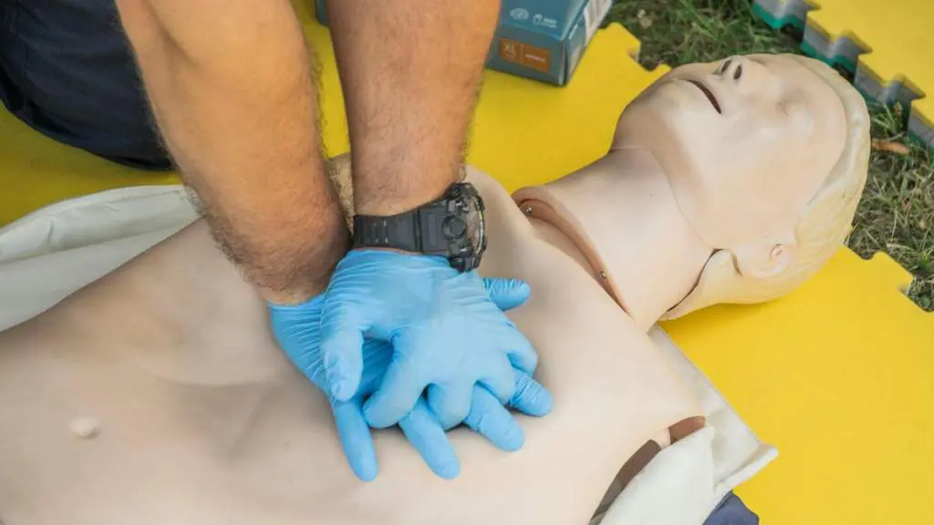 Plus de 4 000 visiteurs à la Fête de la science 2025 à Antony