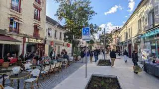 Rue Auguste-Mounié : les client·es viennent surtout à pied ou à vélo