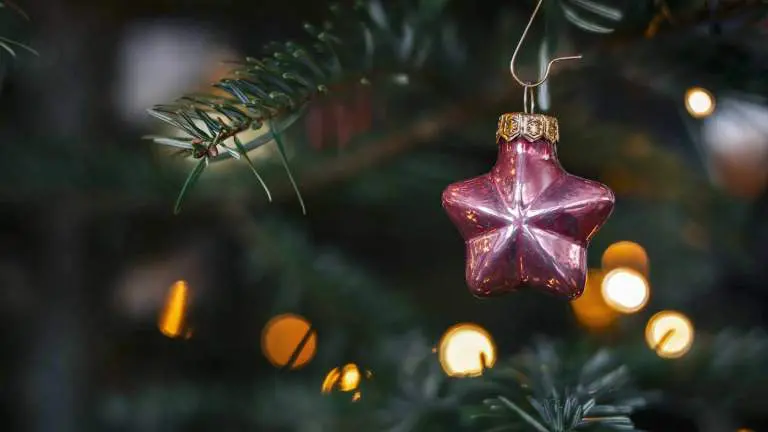 Après Noël, que faire de son sapin à Antony ?