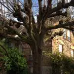 Une maison du début du XXe siècle menacée au cœur d’Antony