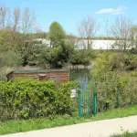 Découvrir les oiseaux d’Antony avec la Ligue pour la Protection des Oiseaux