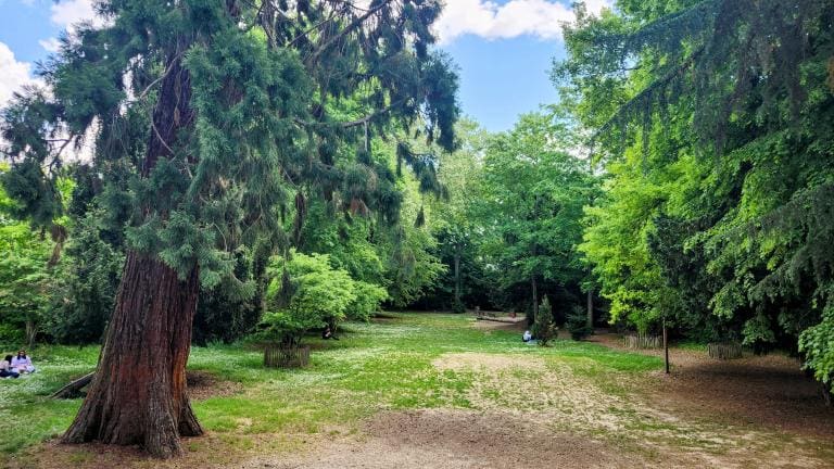 Projets écologiques : les choix du budget participatif 2025