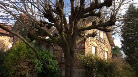 Une maison du début du XXe siècle menacée au cœur d’Antony