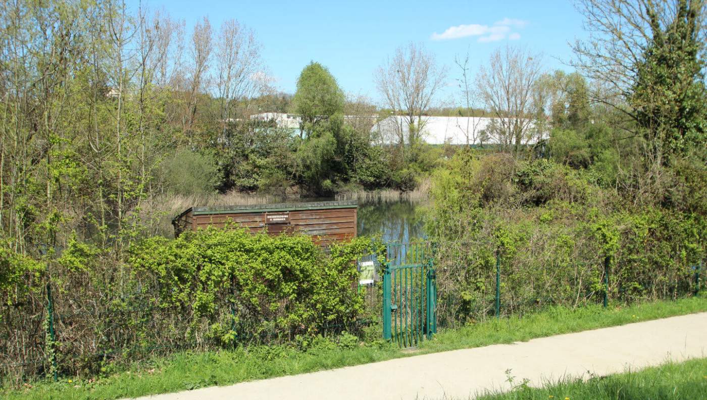 Découvrir les oiseaux d’Antony avec la Ligue pour la Protection des Oiseaux